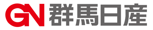 ＧＮホールディングス株式会社